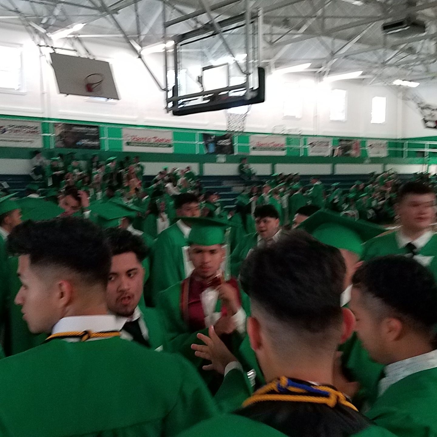 Brown22.jpg
